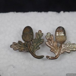 SMGL-121  Acorn Collar insignia *SOLD