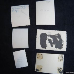 SMGL-2397 6 pc Picture assortment *SOLD