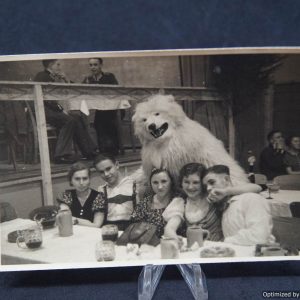 SMGL-2196 German Polar Bear social *SOLD