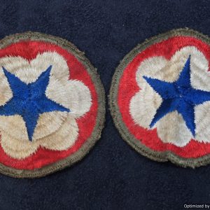 SMGL-2263 US army services patch green border