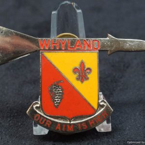SMGL-2472 Distinctive Insignia pin for 552 Anti Aircraft Battery Personalized *SOLD