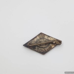 SMGP-873 HJ Member pin Damaged enamel *SOLD