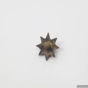 SMGP-1021 Pickelhaube Star stud *SOLD