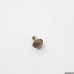 SMGP-1023 Pickelhaube dome stud split lock *SOLD