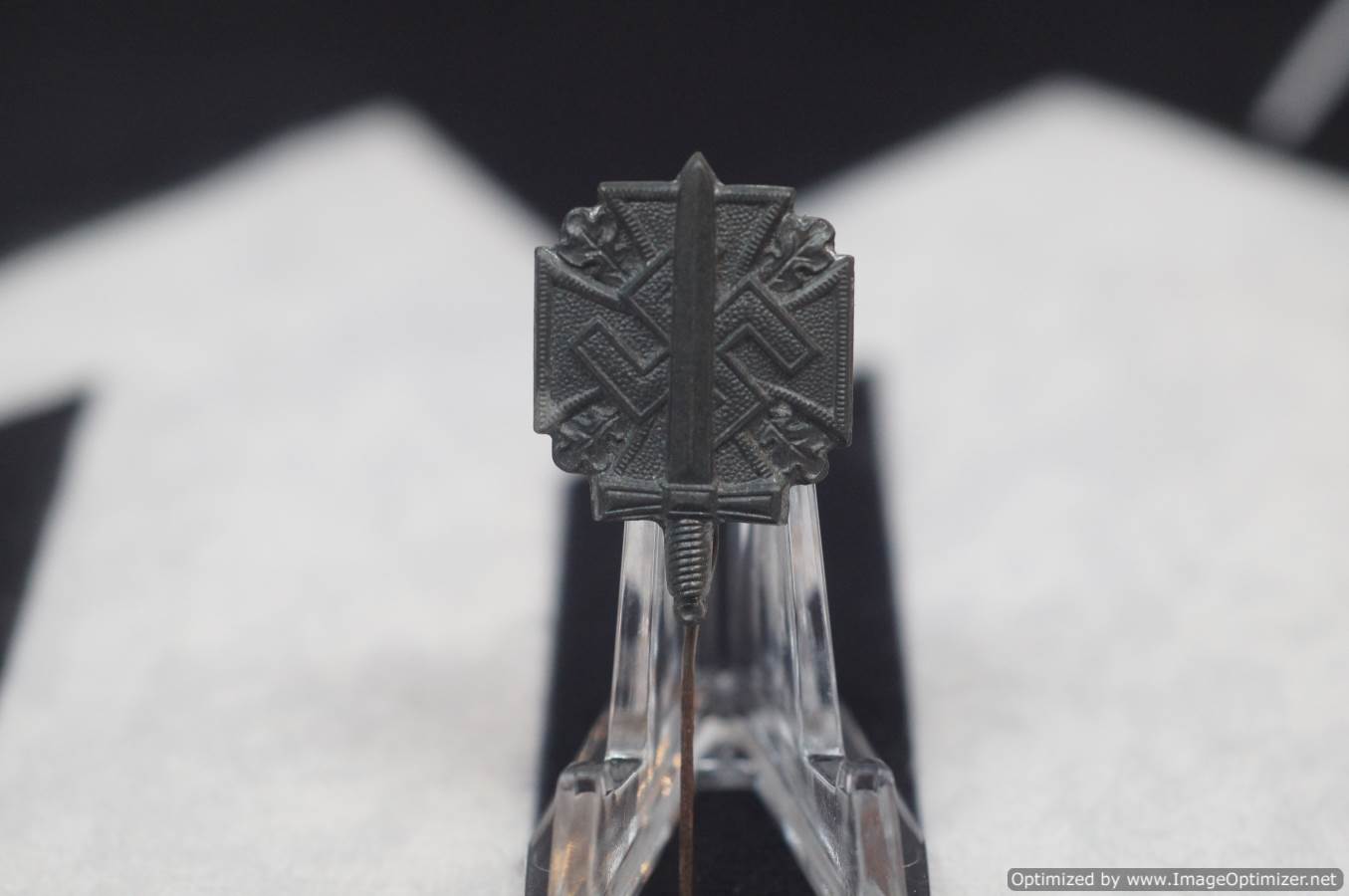 WHW NSKOV Donation pin