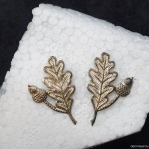 SMGP-1486 Jager troop Collar insignia? *SOLD