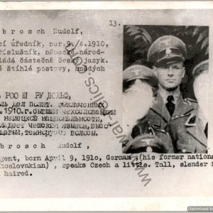 SMGL-24689 Czechoslovakian SS Gestapo (Sipo-SD) allied "wanted" Card Rudolf Ambrosch