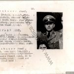 Jay Gillespie Collection