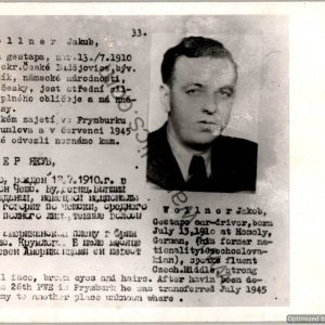 Jay Gillespie Collection