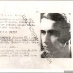 Jay Gillespie Collection