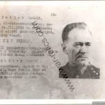 Jay Gillespie Collection