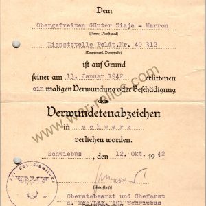 SMGL-2820  Black Wound Badge Award Document
