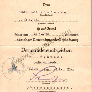 SMGL-2806  Award Document for black wound badge Reserve Hospital