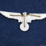 SGM-1338 Veteran Cap Eagle
