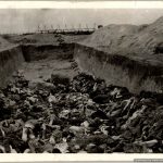 SGML-1376 4pc Belsen Concentration camp Photos