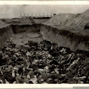 SGML-1376 4pc Belsen Concentration camp Photos