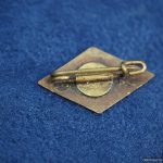 Hitler Youth Member Pin