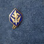 Nazi Stenographers Pin