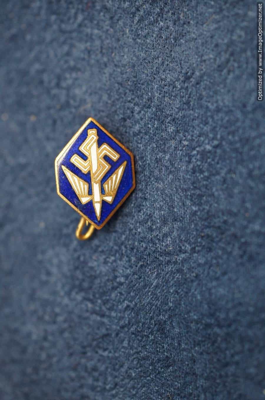 Nazi Stenographers Pin