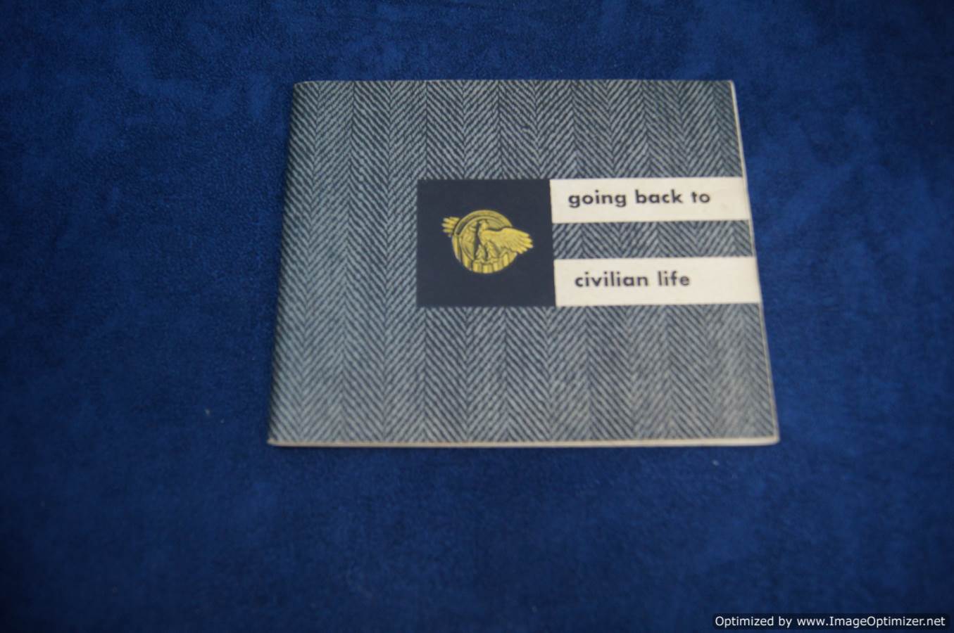 SMGQ-0029 Going back to Civilian Life WW2 vet book