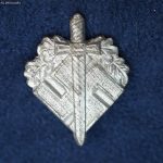 SMGQ-0125 NSKOV Disabled Vet Pin