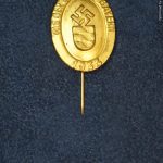SMGQ-0247 Tag Der Jugend in Bayern Sick pin