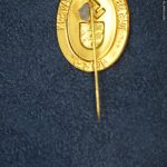 SMGQ-0247 Tag Der Jugend in Bayern Sick pin