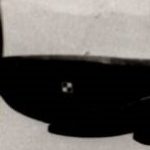 Polish Spitfire in Flight