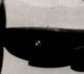 Polish Spitfire in Flight