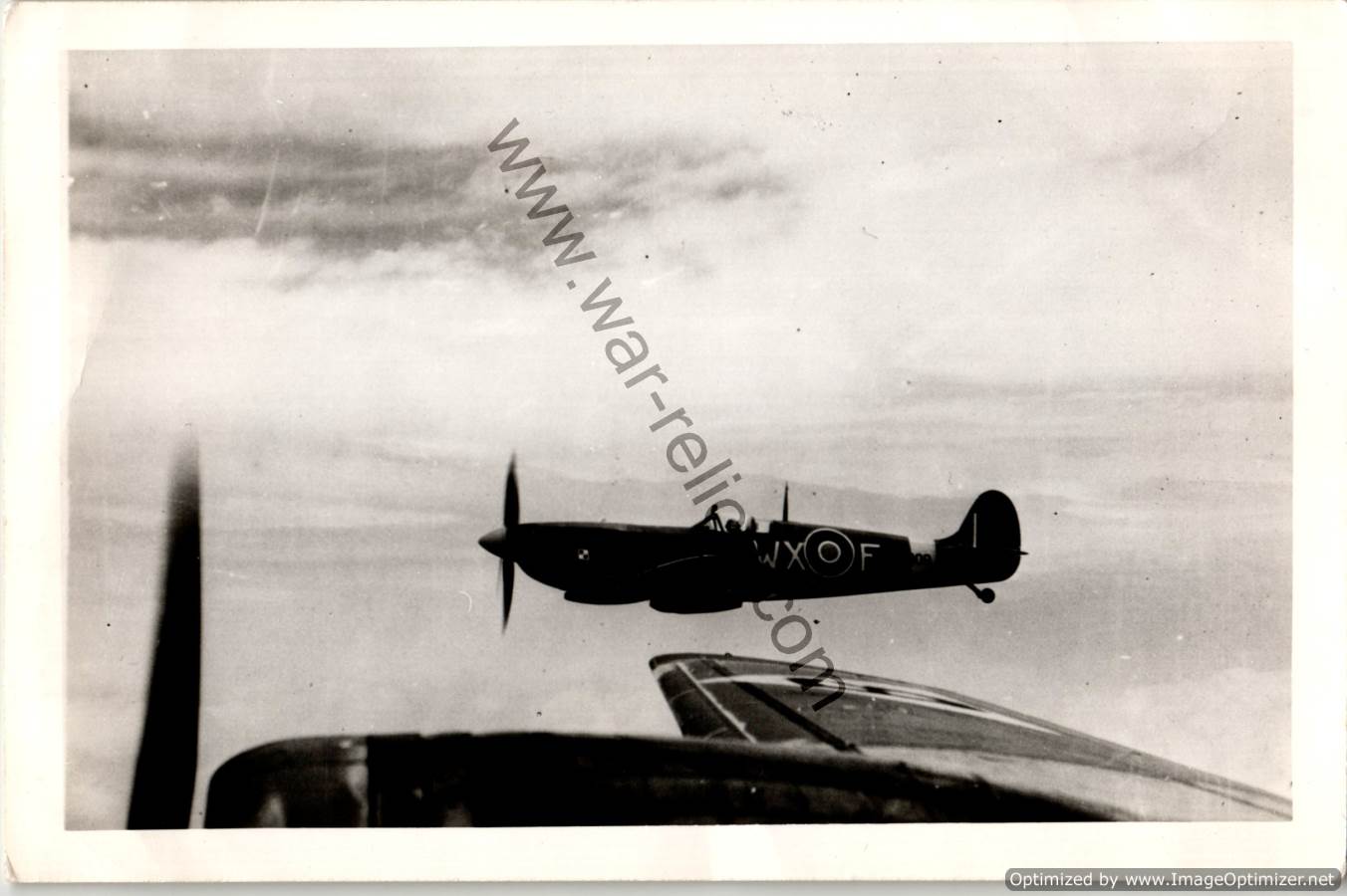 Polish Spitfire in Flight