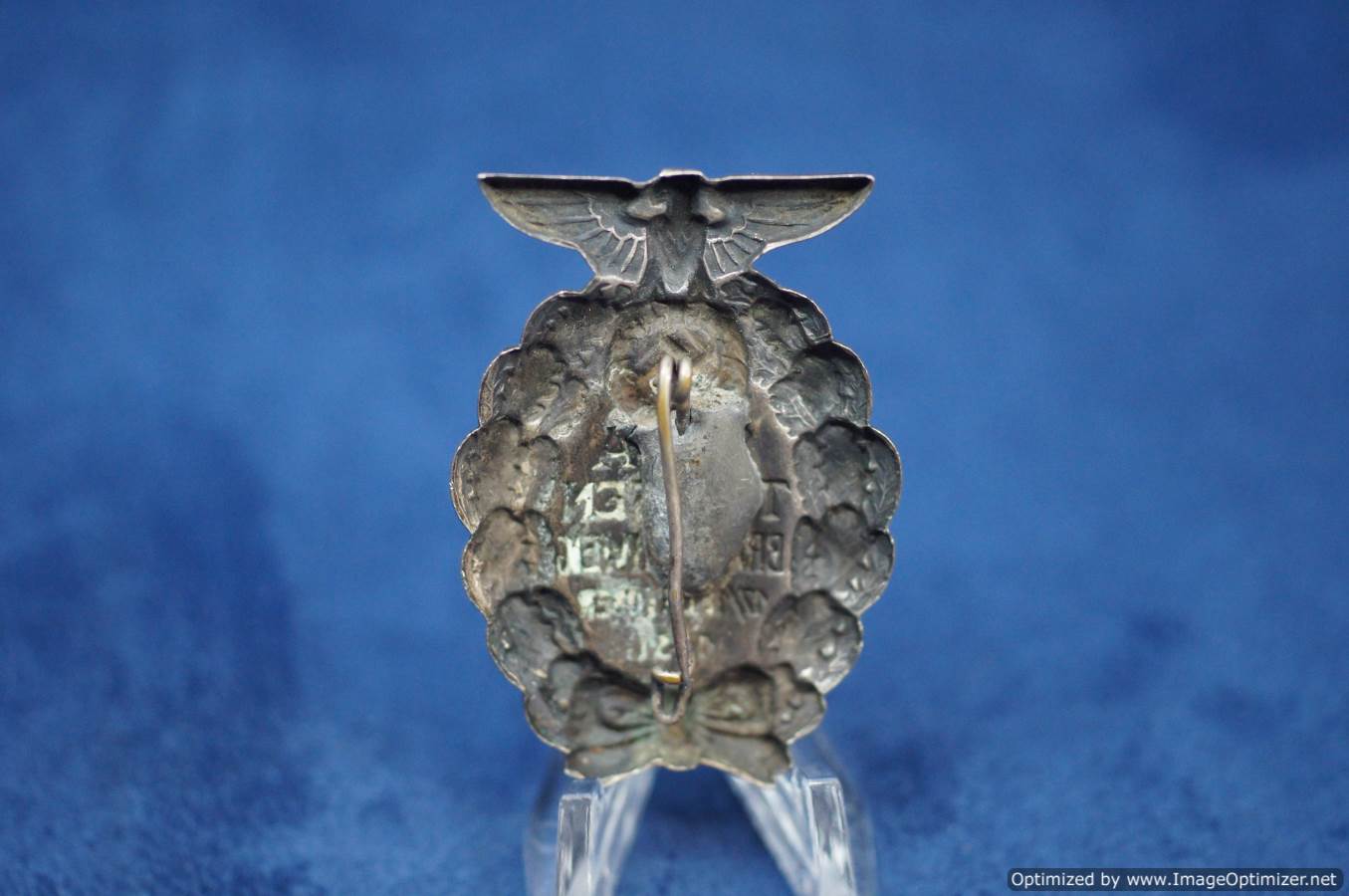 SA Treffen 1931 badge