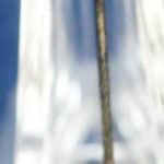 silesian stick pin