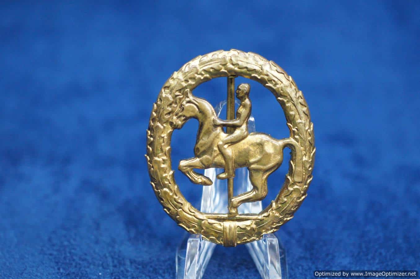 German HorseMans badge in Gold Equestrian