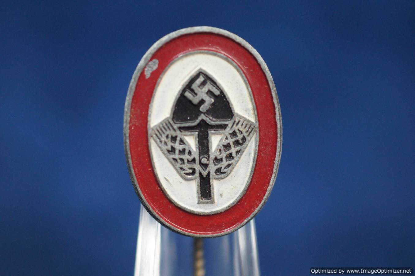 Painted RAD Stick pin