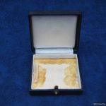 Silver wound badge case
