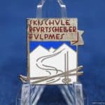 ski school pin 30's