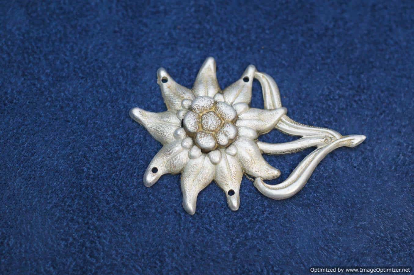 Edelweiss Cap Badge
