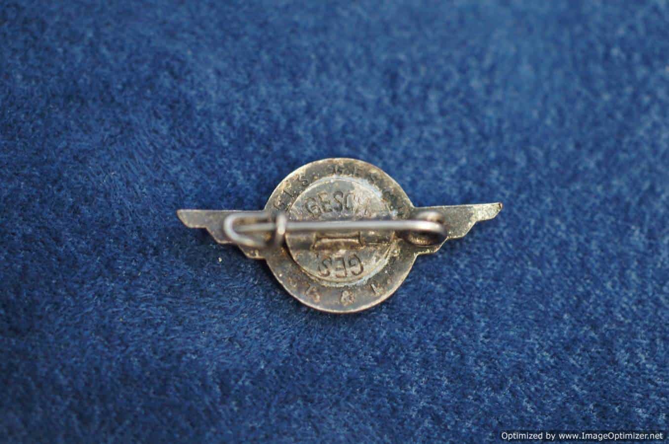 SMGL-2660 DLV Members pin Pre RZM
