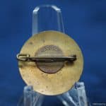 Hindenburg Hitler 1933 pin