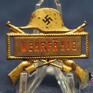 SMGL-2911 wehrfahig pin Fit for Service badge