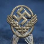 RADwj Cap badge