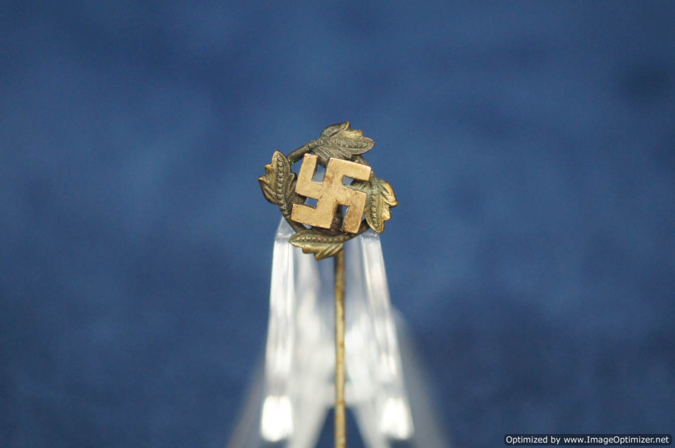 Swastika Supporter pin