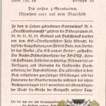 Germany Awakes Cigarette album card/photo SA standard bearers