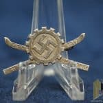 DAF Ski Lehrgang Pin