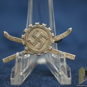 DAF Ski Lehrgang Pin