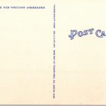 WW1 era US post card "We Don't Care If You Did See It Done In The Circus, Come Out Of There!"