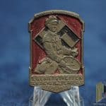gebietstreffen der sachs hj plauen 1923 1933 hitler youth tinnie