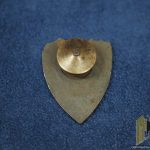 Hochland Lager Fantasy badge?