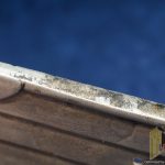 27" Railway Eagle by GPH