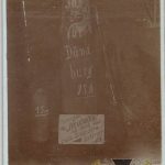 WW1 post card American Neutrality